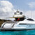 Mangusta 92  Chill out 2