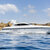 Mangusta 92  Chill out 1