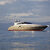 Ab Yachts 78 Zazzazu 1