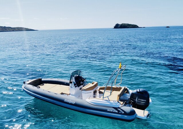 Salpa Soleil 23