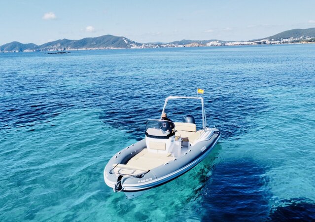 Salpa Soleil 23