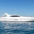 Mangusta 108 Belisa 3