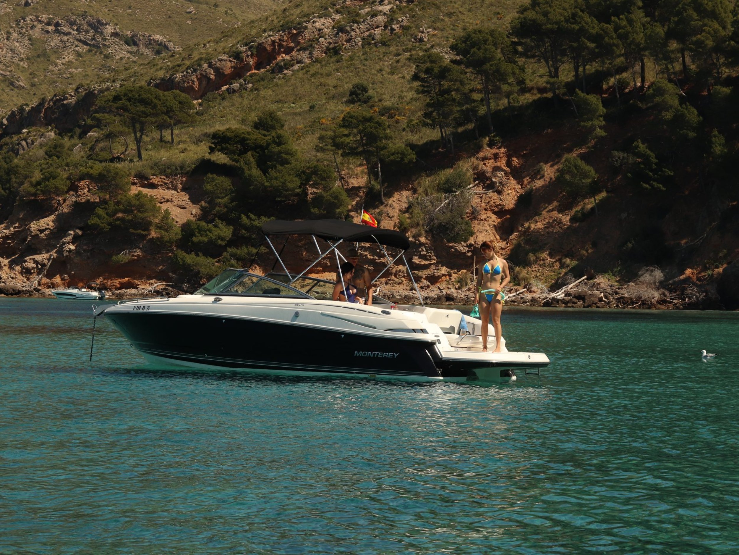 Monterey 264 FS Peleona
