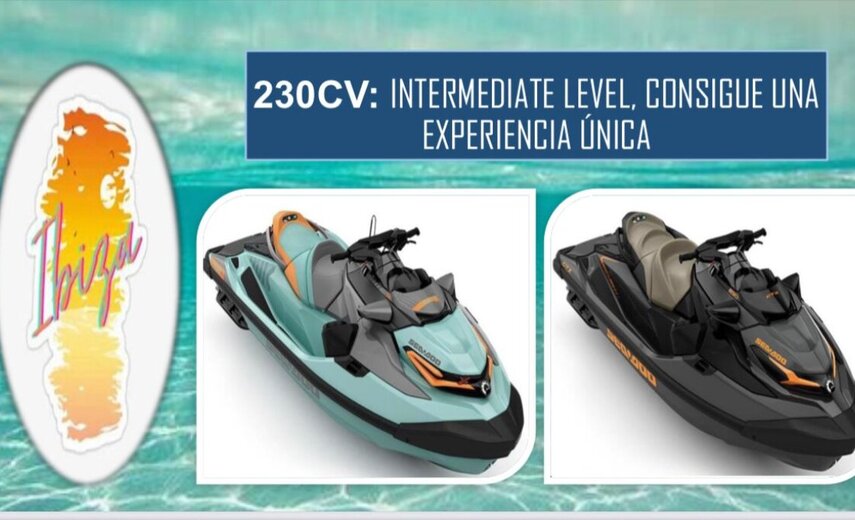 Sea Doo Wake Pro 230 Wake Pro 230 3