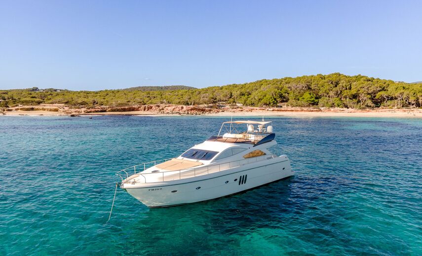 Abacus 61 ESTELA
