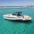 Bellini Astor 36 Just Shine 3