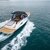Alfastreet Marine 28 Sanfil 9