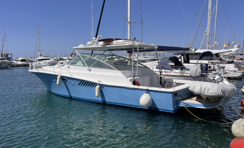 Viking 43 OPEN SANSWISH