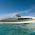 Invictus 280GT Delphi 9
