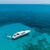 Mangusta 108 Nomad 3