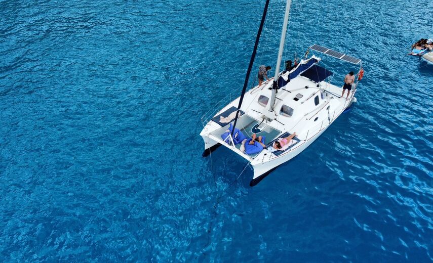 Petrachi 32 Maui