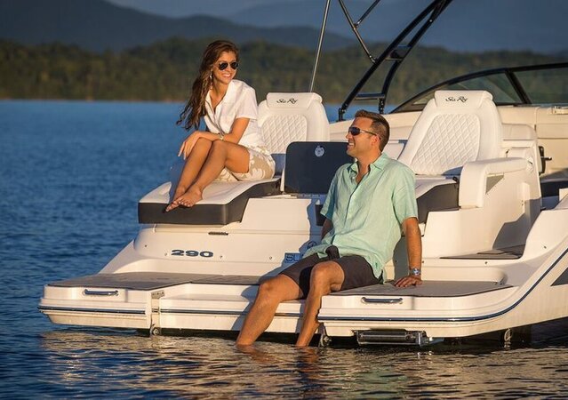 Sea Ray 290 SDX